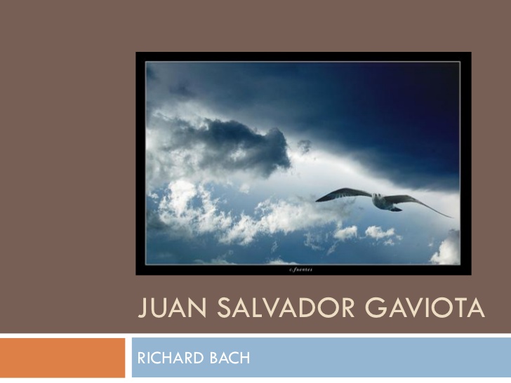 Juan salvador gaviota pdf ingles
